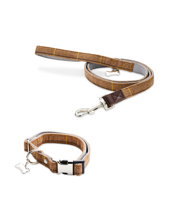 Dog Leads & Collars