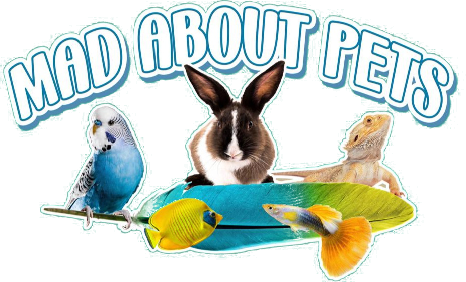 mad-about-pets-home-madaboutpets