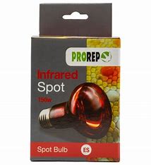 Prorep Infared Spot 100w