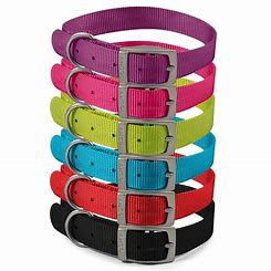 Ancol Viva Buckle Collar