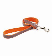 Ancol Bone Reflective Lead Orange 19MMX1M