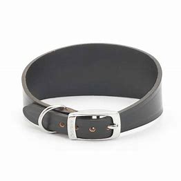 Whippet Padded Collar Black S2