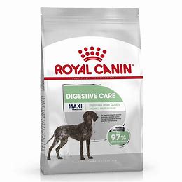 Royal Canin Digestive Care Maxi 12KG