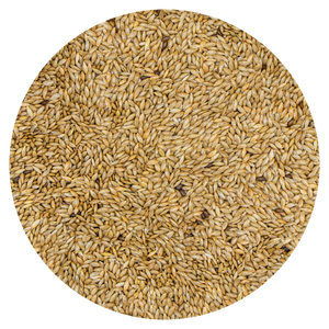 VDC Canaryseed