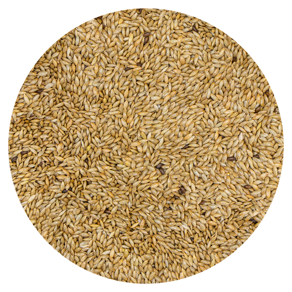 VDC Canaryseed