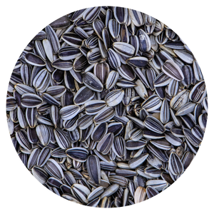 VDC Sunflower Seeds Striped